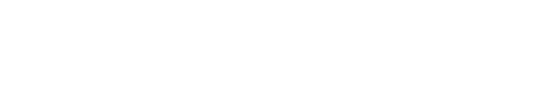 Nexaview Logo